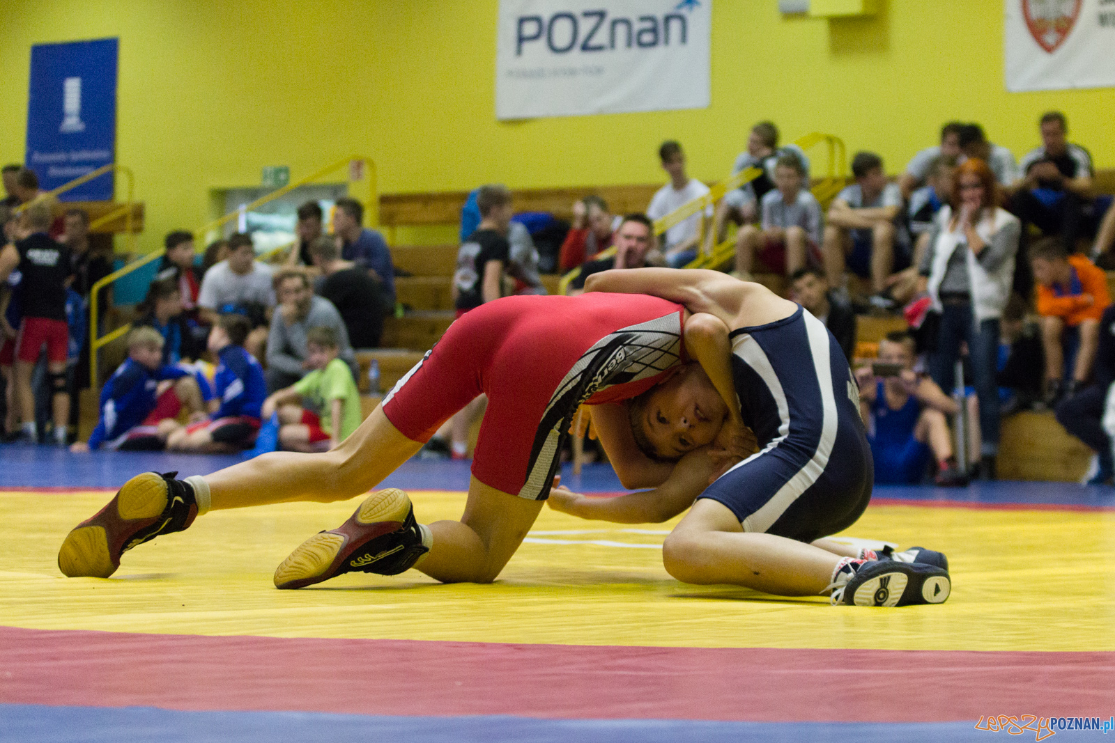 Międzywojewódzkie Mistrzostwa Młodzików Zapasy Styl Klasyczn Foto: lepszyPOZNAN.pl / Ewelina Jaskowiak Międzywojewódzkie Mistrzostwa Młodzików Zapasy Styl Klasyczn Foto: lepszyPOZNAN.pl / Ewelina Jaskowiak