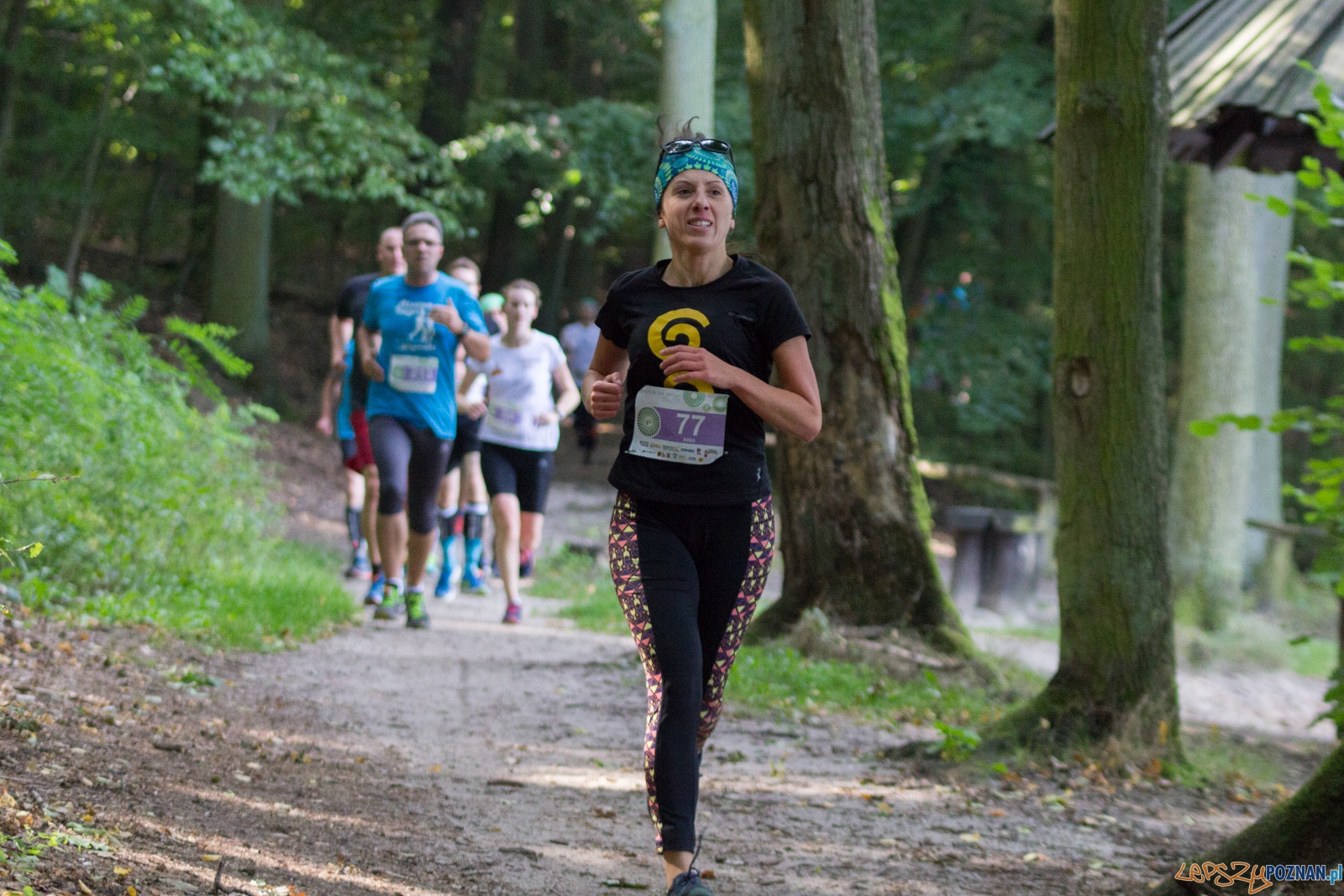 Forest Run Foto: lepszyPOZNAN.pl / Ewelina Jaskowiak Forest Run Foto: lepszyPOZNAN.pl / Ewelina Jaskowiak