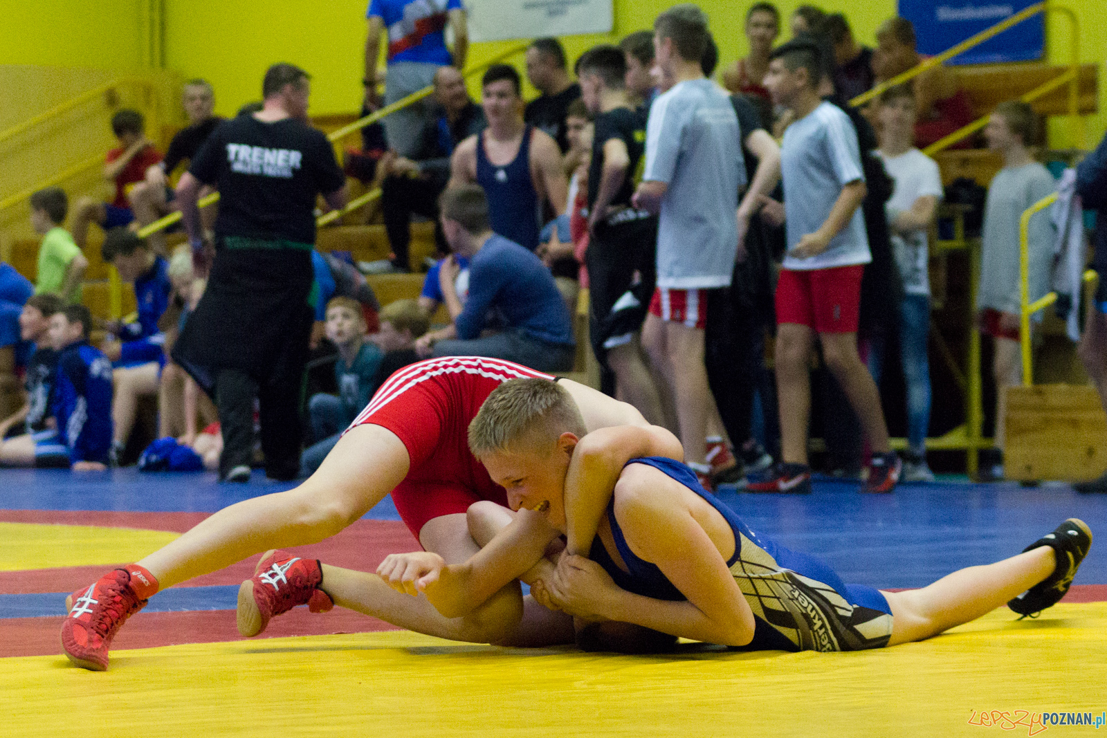 Międzywojewódzkie Mistrzostwa Młodzików Zapasy Styl Klasyczn Foto: lepszyPOZNAN.pl / Ewelina Jaskowiak Międzywojewódzkie Mistrzostwa Młodzików Zapasy Styl Klasyczn Foto: lepszyPOZNAN.pl / Ewelina Jaskowiak