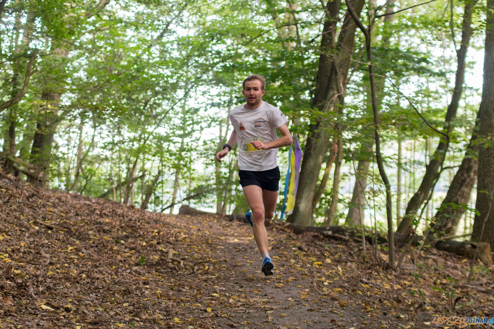 Forest Run Foto: lepszyPOZNAN.pl / Ewelina Jaskowiak Forest Run Foto: lepszyPOZNAN.pl / Ewelina Jaskowiak