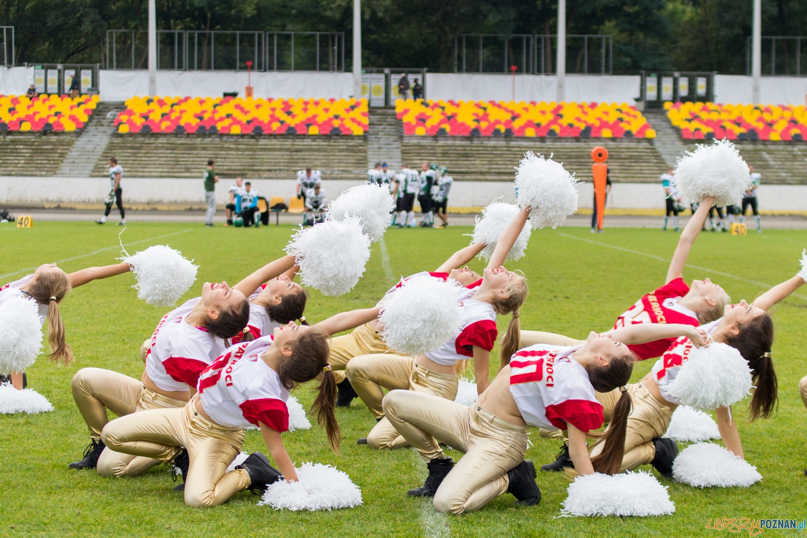 Patrioci Poznań - Tytani Lublin Foto: lepszyPOZNAN.pl / Ewelina Jaskowiak Patrioci Poznań - Tytani Lublin Foto: lepszyPOZNAN.pl / Ewelina Jaskowiak