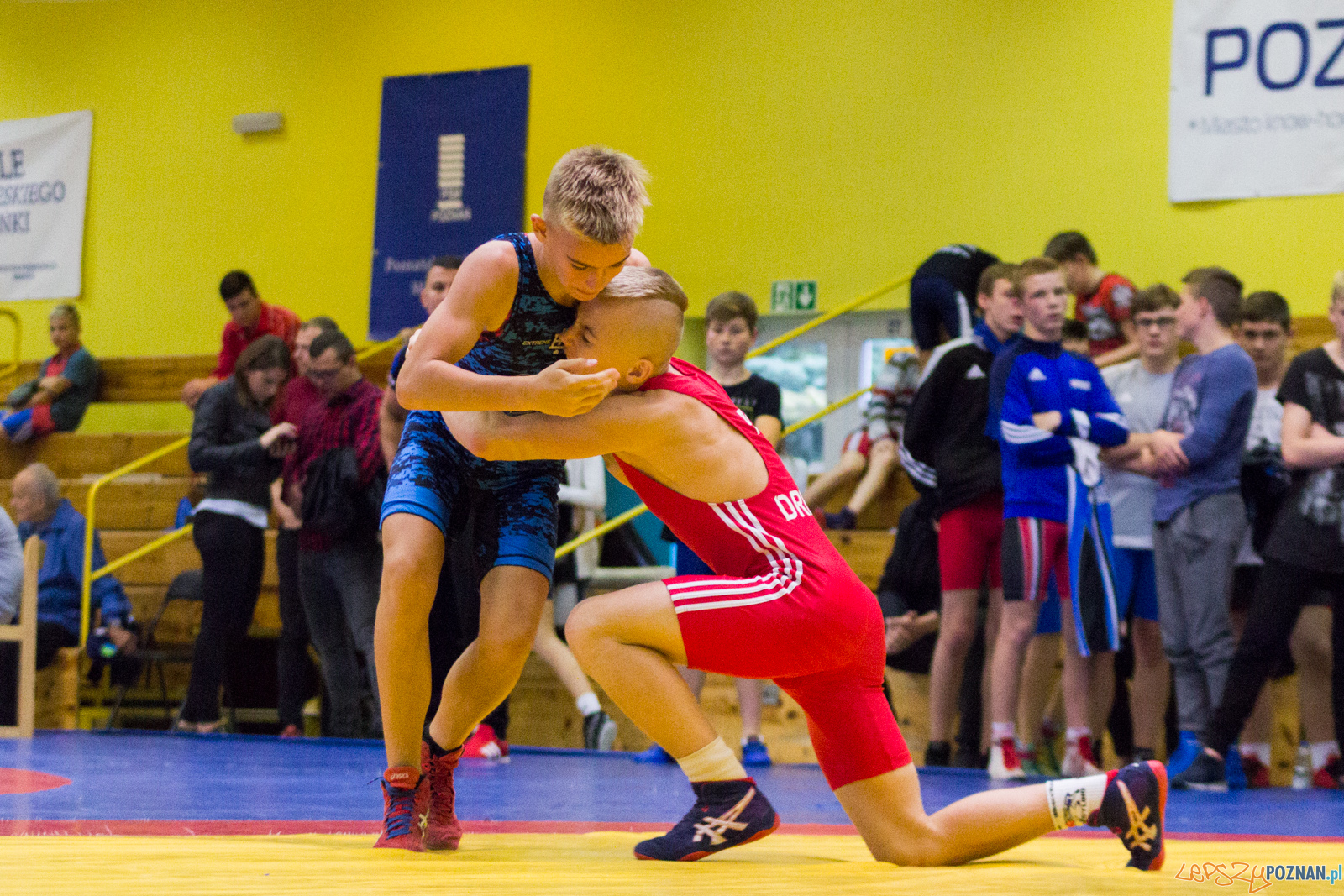 Międzywojewódzkie Mistrzostwa Młodzików Zapasy Styl Klasyczn Foto: lepszyPOZNAN.pl / Ewelina Jaskowiak Międzywojewódzkie Mistrzostwa Młodzików Zapasy Styl Klasyczn Foto: lepszyPOZNAN.pl / Ewelina Jaskowiak