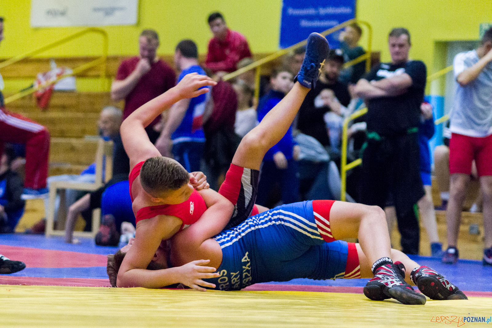 Międzywojewódzkie Mistrzostwa Młodzików Zapasy Styl Klasyczn Foto: lepszyPOZNAN.pl / Ewelina Jaskowiak Międzywojewódzkie Mistrzostwa Młodzików Zapasy Styl Klasyczn Foto: lepszyPOZNAN.pl / Ewelina Jaskowiak