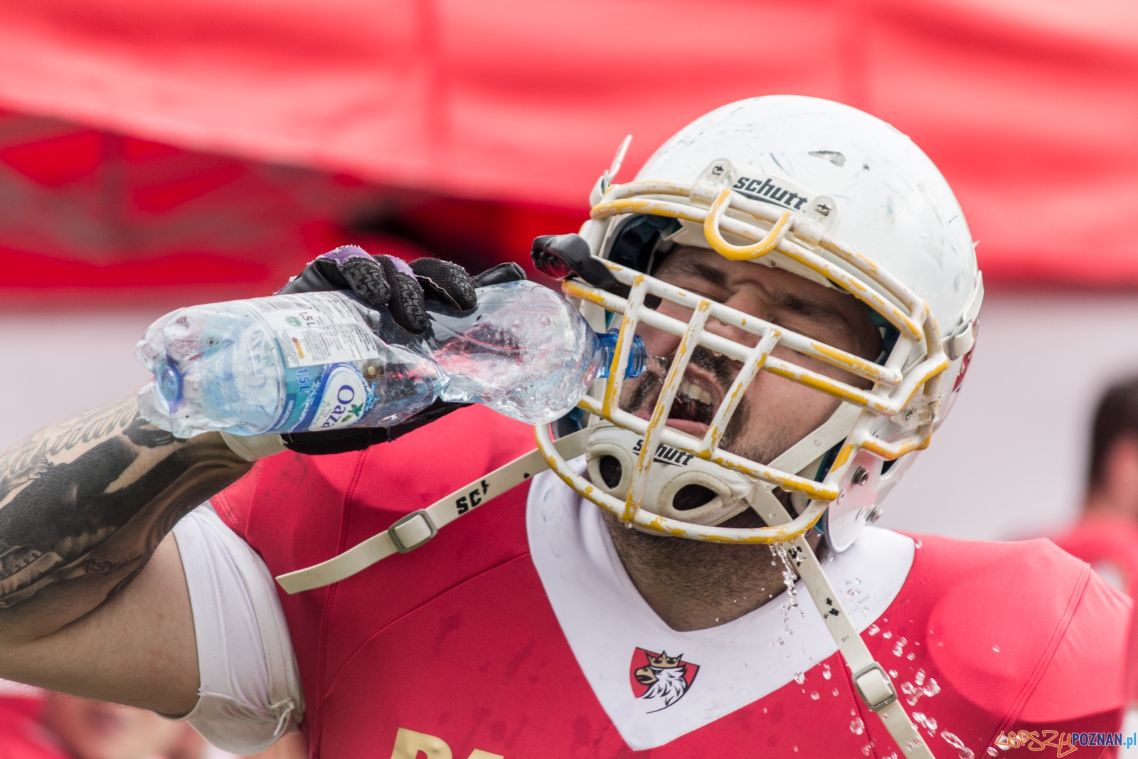 Patrioci Poznań - Tytani Lublin Foto: lepszyPOZNAN.pl / Ewelina Jaskowiak Patrioci Poznań - Tytani Lublin Foto: lepszyPOZNAN.pl / Ewelina Jaskowiak