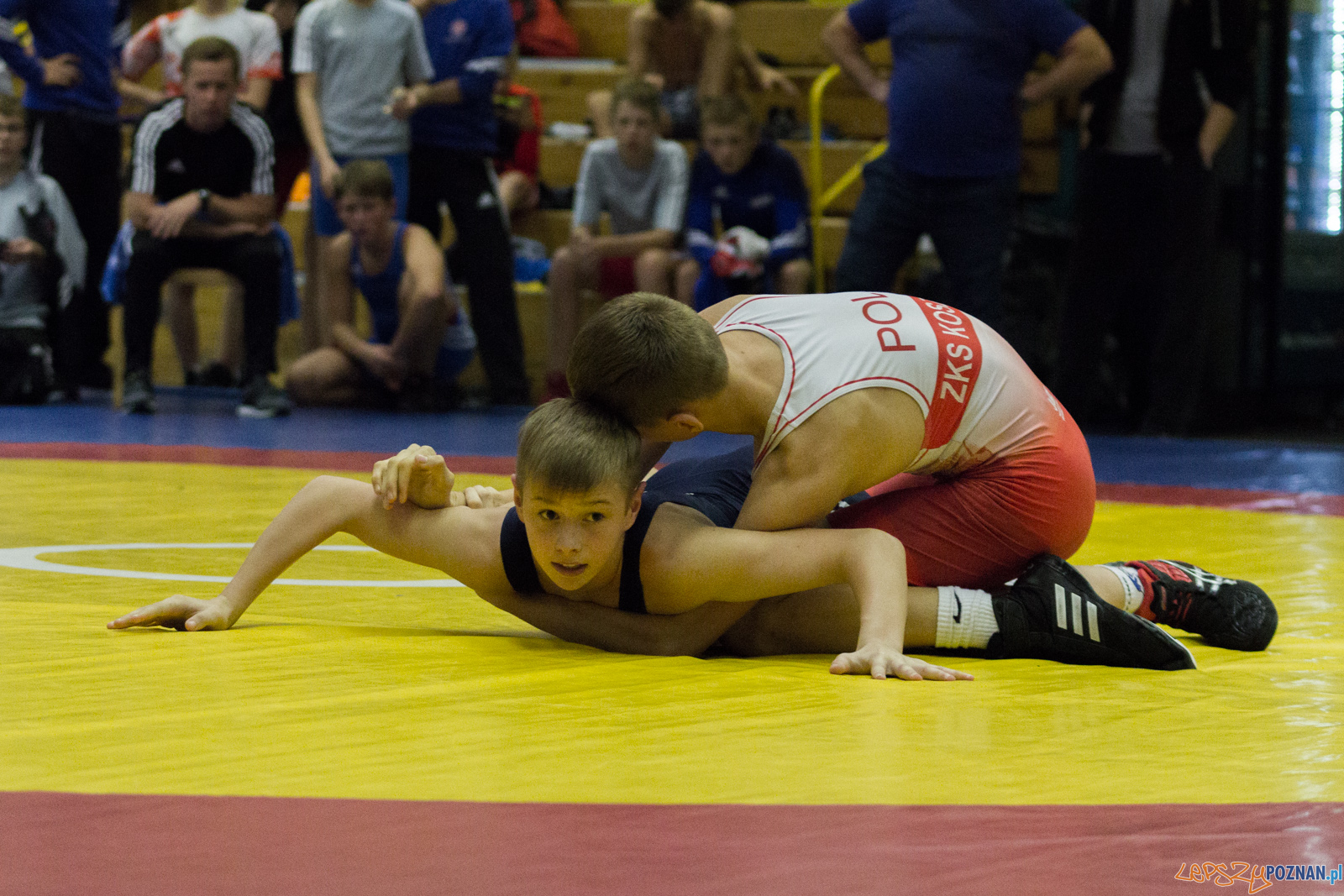 Międzywojewódzkie Mistrzostwa Młodzików Zapasy Styl Klasyczn Foto: lepszyPOZNAN.pl / Ewelina Jaskowiak Międzywojewódzkie Mistrzostwa Młodzików Zapasy Styl Klasyczn Foto: lepszyPOZNAN.pl / Ewelina Jaskowiak