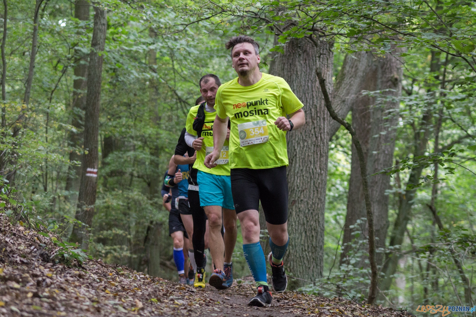 Forest Run Foto: lepszyPOZNAN.pl / Ewelina Jaskowiak Forest Run Foto: lepszyPOZNAN.pl / Ewelina Jaskowiak