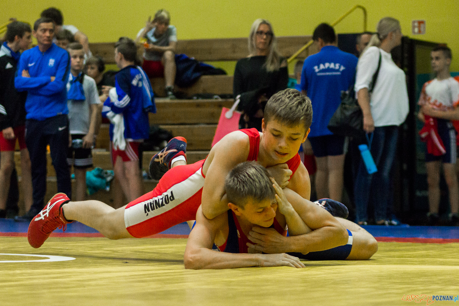 Międzywojewódzkie Mistrzostwa Młodzików Zapasy Styl Klasyczn Foto: lepszyPOZNAN.pl / Ewelina Jaskowiak Międzywojewódzkie Mistrzostwa Młodzików Zapasy Styl Klasyczn Foto: lepszyPOZNAN.pl / Ewelina Jaskowiak