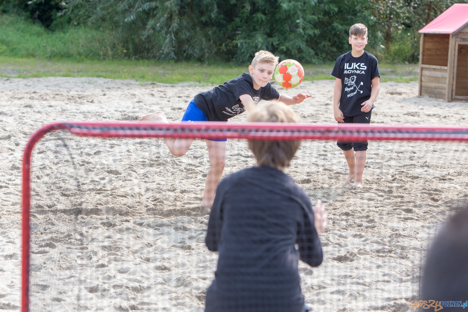 III Piknik Poznańskich Olimpijczyków Foto: lepszyPOZNAN.pl/Piotr Rychter III Piknik Poznańskich Olimpijczyków Foto: lepszyPOZNAN.pl/Piotr Rychter