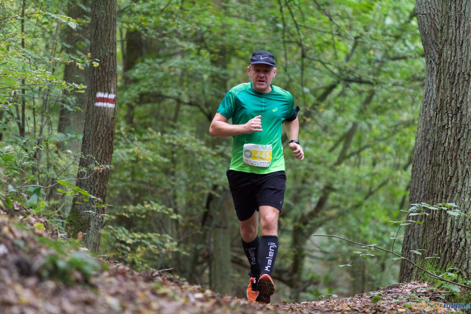 Forest Run Foto: lepszyPOZNAN.pl / Ewelina Jaskowiak Forest Run Foto: lepszyPOZNAN.pl / Ewelina Jaskowiak