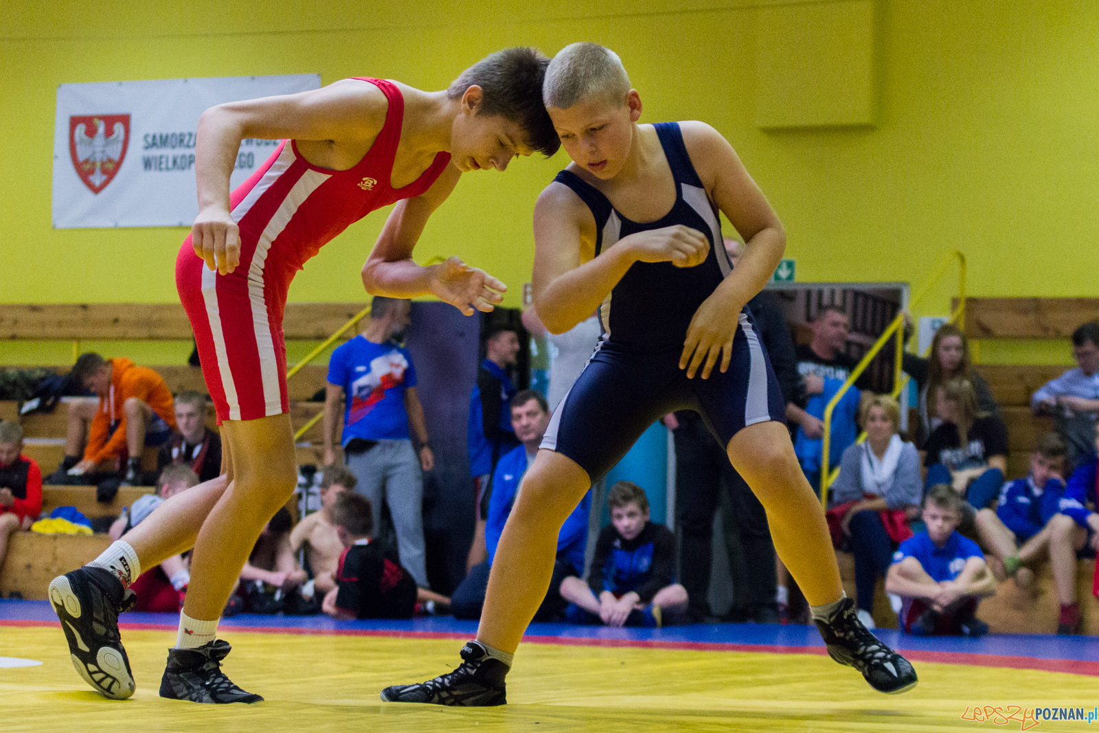 Międzywojewódzkie Mistrzostwa Młodzików Zapasy Styl Klasyczn Foto: lepszyPOZNAN.pl / Ewelina Jaskowiak Międzywojewódzkie Mistrzostwa Młodzików Zapasy Styl Klasyczn Foto: lepszyPOZNAN.pl / Ewelina Jaskowiak