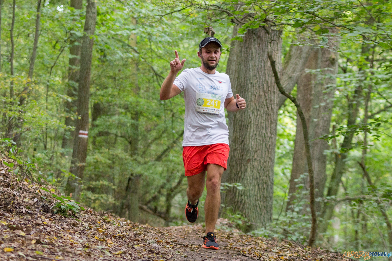 Forest Run Foto: lepszyPOZNAN.pl / Ewelina Jaskowiak Forest Run Foto: lepszyPOZNAN.pl / Ewelina Jaskowiak