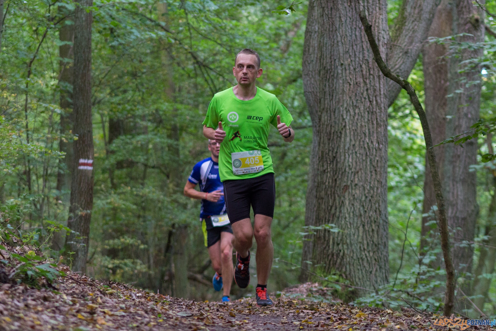 Forest Run Foto: lepszyPOZNAN.pl / Ewelina Jaskowiak Forest Run Foto: lepszyPOZNAN.pl / Ewelina Jaskowiak