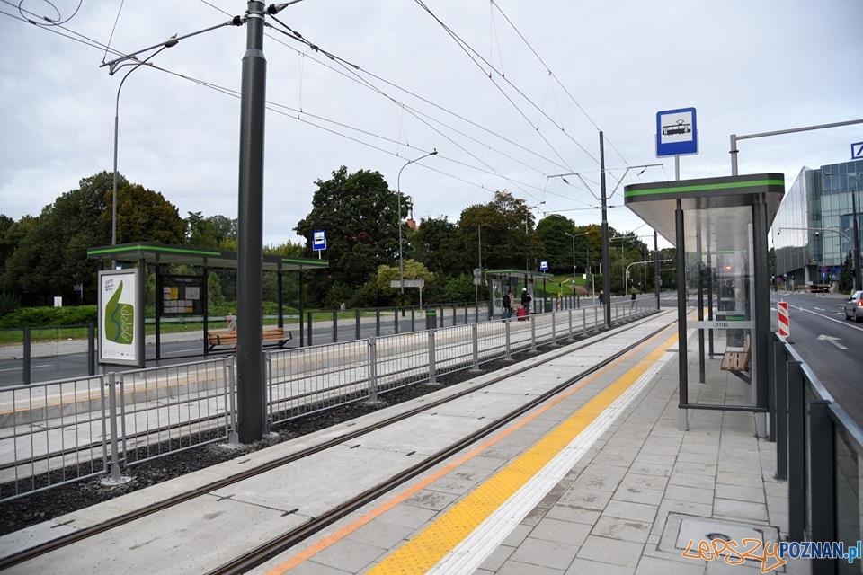 Wyremontowana trasa tramwajowa na Królowej Jadwigi Foto: UMP Wyremontowana trasa tramwajowa na Królowej Jadwigi Foto: UMP