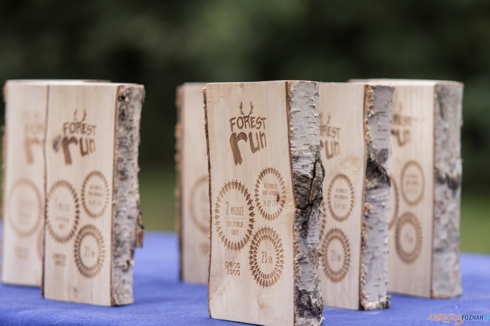 Forest Run Foto: lepszyPOZNAN.pl / Ewelina Jaskowiak Forest Run Foto: lepszyPOZNAN.pl / Ewelina Jaskowiak