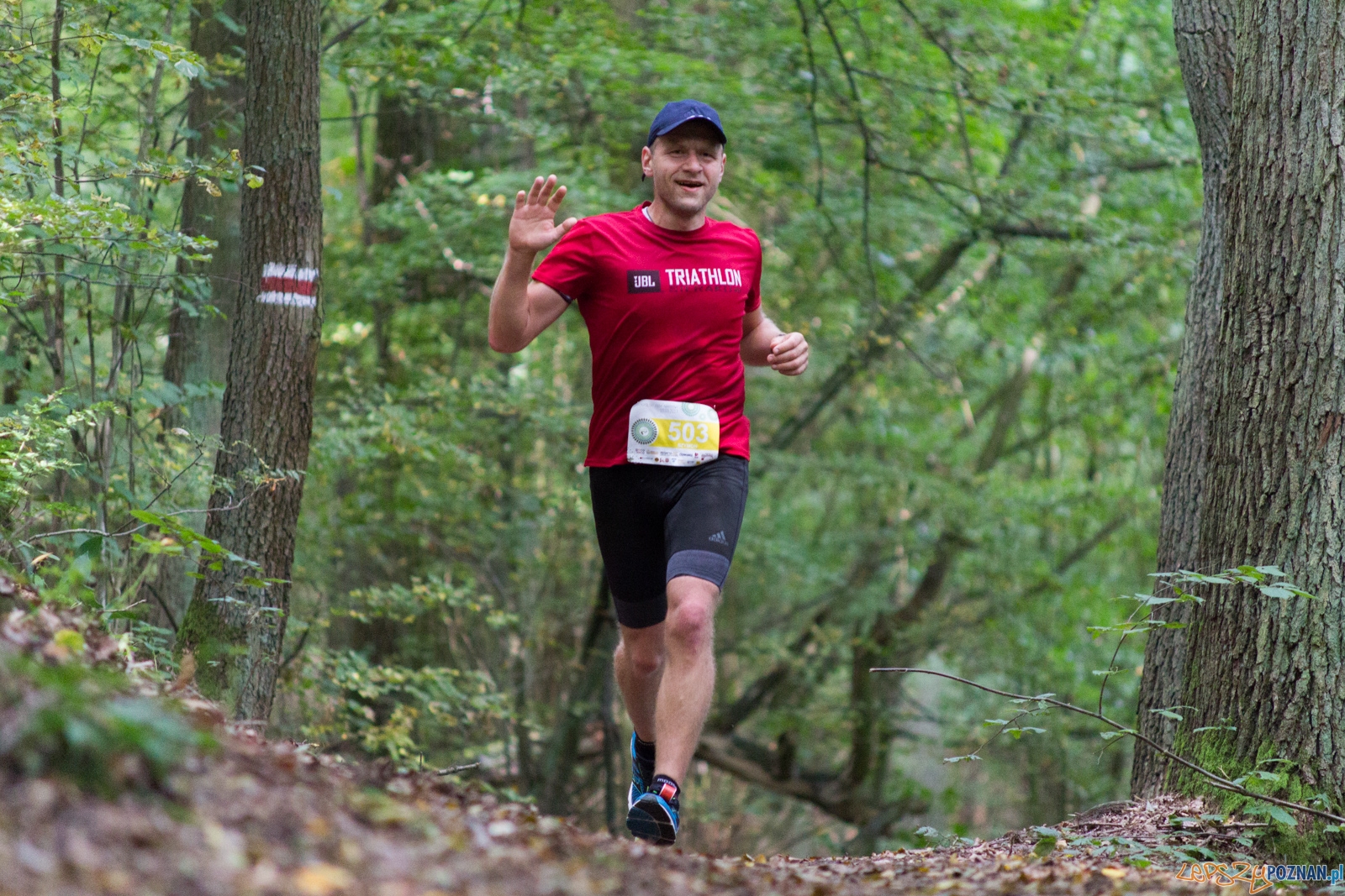 Forest Run Foto: lepszyPOZNAN.pl / Ewelina Jaskowiak Forest Run Foto: lepszyPOZNAN.pl / Ewelina Jaskowiak