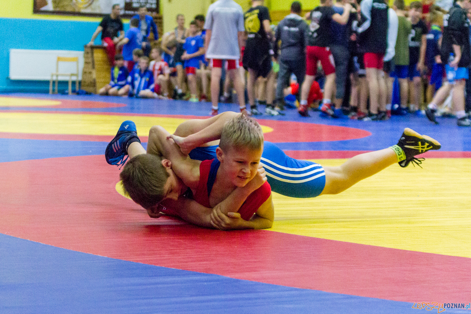 Międzywojewódzkie Mistrzostwa Młodzików Zapasy Styl Klasyczn Foto: lepszyPOZNAN.pl / Ewelina Jaskowiak Międzywojewódzkie Mistrzostwa Młodzików Zapasy Styl Klasyczn Foto: lepszyPOZNAN.pl / Ewelina Jaskowiak