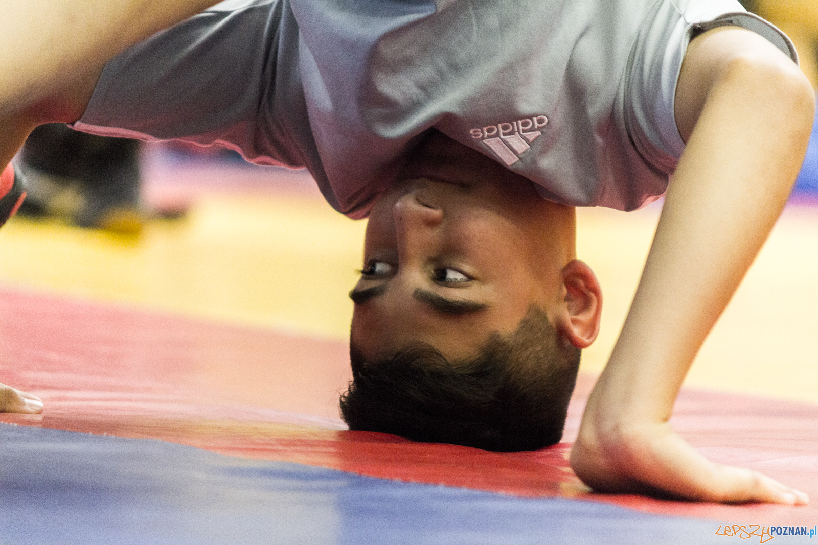 Międzywojewódzkie Mistrzostwa Młodzików Zapasy Styl Klasyczn Foto: lepszyPOZNAN.pl / Ewelina Jaskowiak Międzywojewódzkie Mistrzostwa Młodzików Zapasy Styl Klasyczn Foto: lepszyPOZNAN.pl / Ewelina Jaskowiak