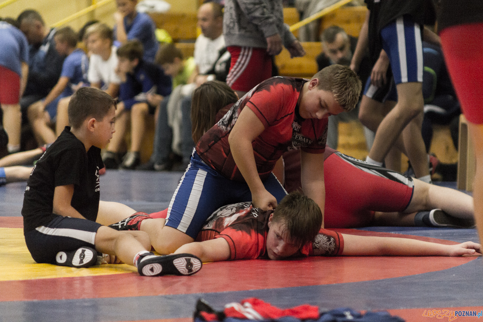 Międzywojewódzkie Mistrzostwa Młodzików Zapasy Styl Klasyczn Foto: lepszyPOZNAN.pl / Ewelina Jaskowiak Międzywojewódzkie Mistrzostwa Młodzików Zapasy Styl Klasyczn Foto: lepszyPOZNAN.pl / Ewelina Jaskowiak