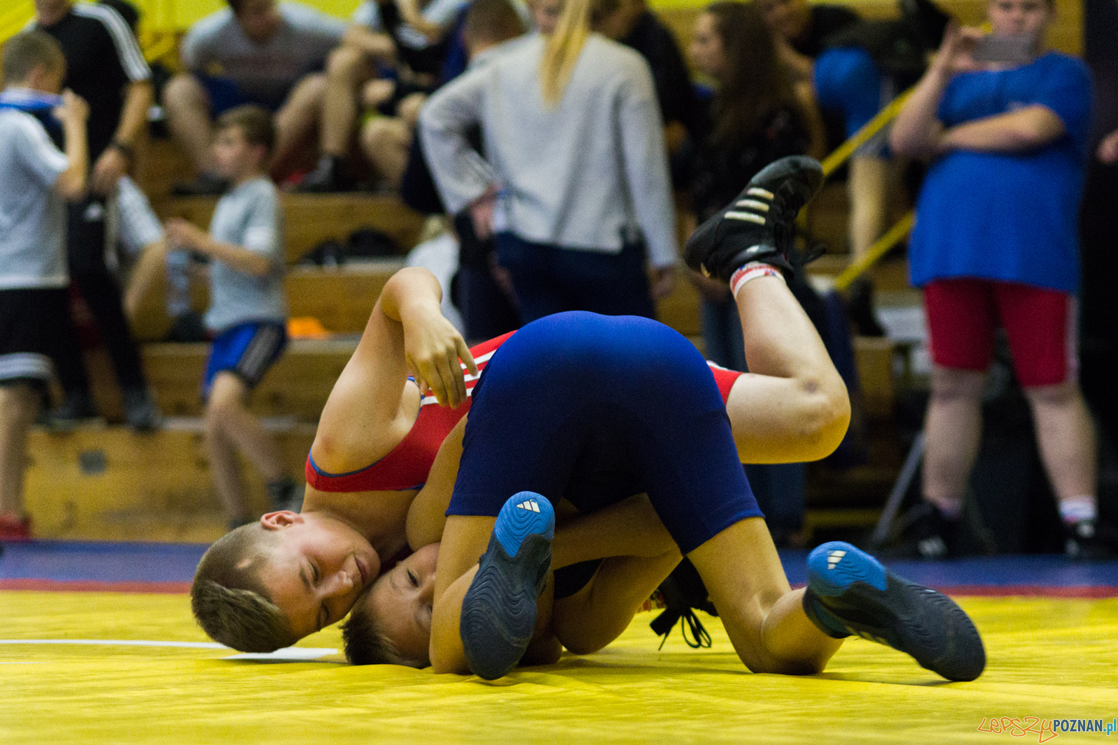 Międzywojewódzkie Mistrzostwa Młodzików Zapasy Styl Klasyczn Foto: lepszyPOZNAN.pl / Ewelina Jaskowiak Międzywojewódzkie Mistrzostwa Młodzików Zapasy Styl Klasyczn Foto: lepszyPOZNAN.pl / Ewelina Jaskowiak