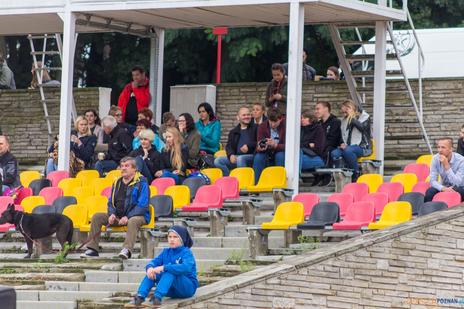 Patrioci Poznań - Tytani Lublin Foto: lepszyPOZNAN.pl / Ewelina Jaskowiak Patrioci Poznań - Tytani Lublin Foto: lepszyPOZNAN.pl / Ewelina Jaskowiak