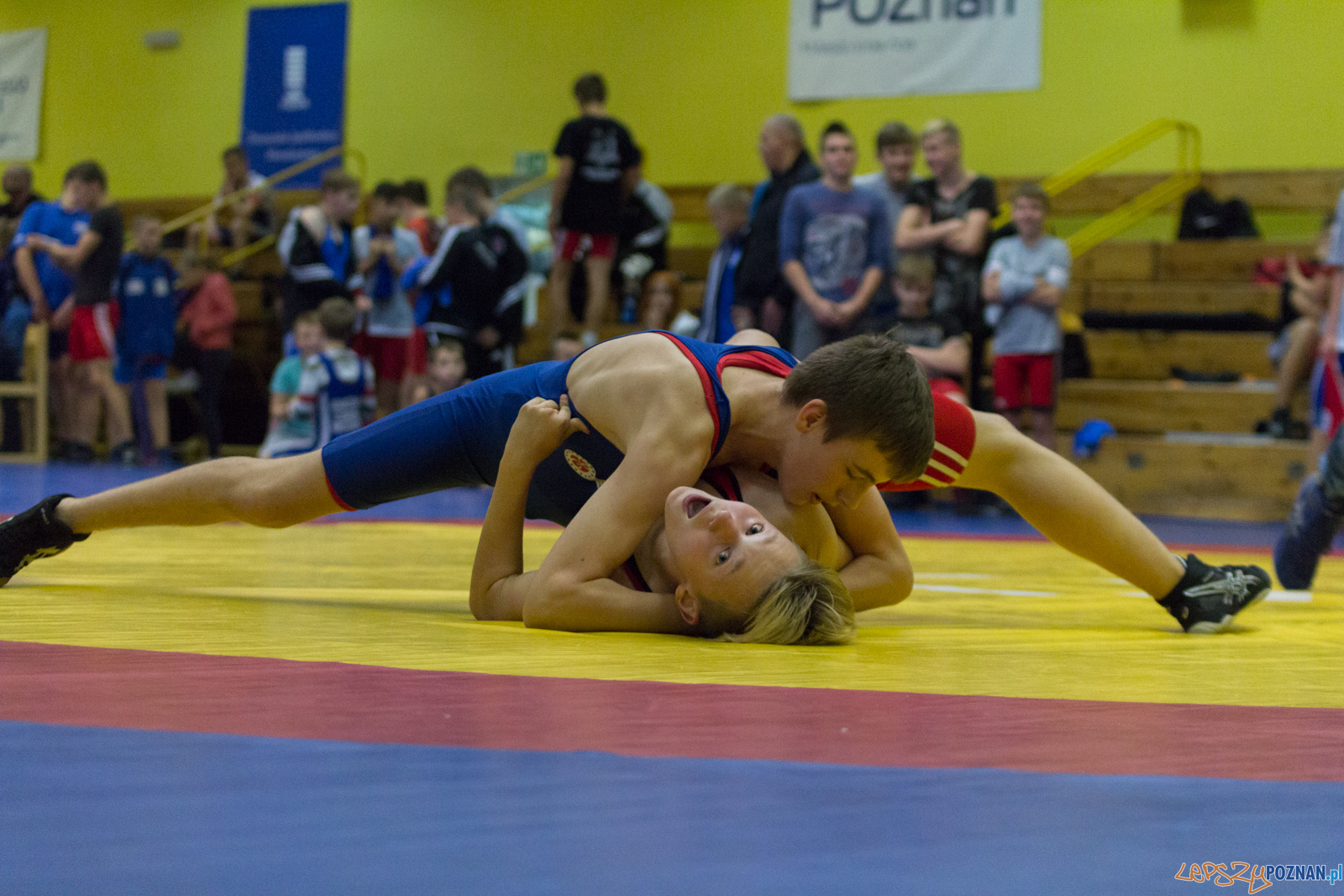 Międzywojewódzkie Mistrzostwa Młodzików Zapasy Styl Klasyczn Foto: lepszyPOZNAN.pl / Ewelina Jaskowiak Międzywojewódzkie Mistrzostwa Młodzików Zapasy Styl Klasyczn Foto: lepszyPOZNAN.pl / Ewelina Jaskowiak