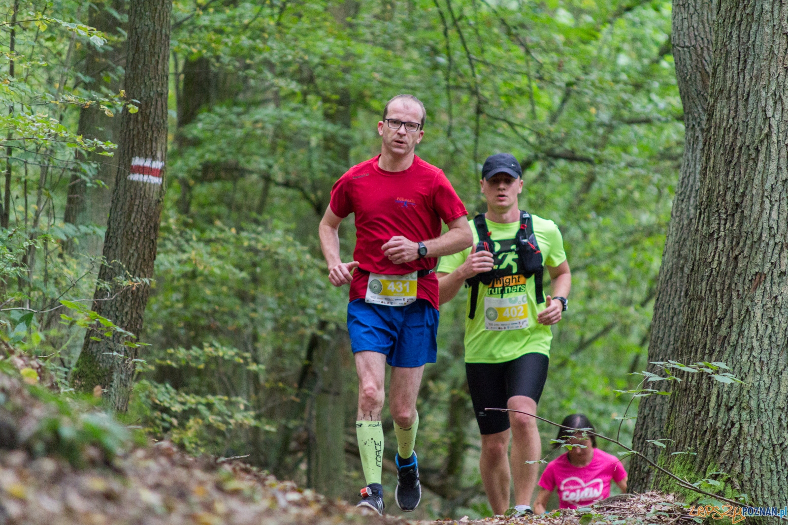 Forest Run Foto: lepszyPOZNAN.pl / Ewelina Jaskowiak Forest Run Foto: lepszyPOZNAN.pl / Ewelina Jaskowiak
