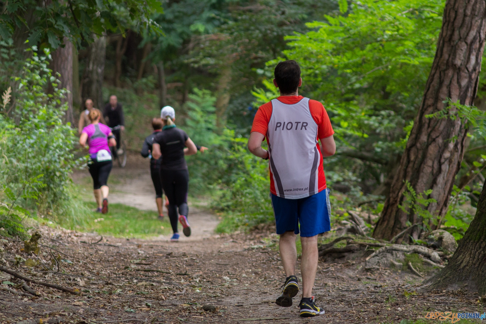 Forest Run Foto: lepszyPOZNAN.pl / Ewelina Jaskowiak Forest Run Foto: lepszyPOZNAN.pl / Ewelina Jaskowiak