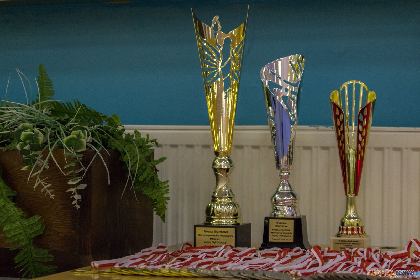 Międzywojewódzkie Mistrzostwa Młodzików Zapasy Styl Klasyczn Foto: lepszyPOZNAN.pl / Ewelina Jaskowiak Międzywojewódzkie Mistrzostwa Młodzików Zapasy Styl Klasyczn Foto: lepszyPOZNAN.pl / Ewelina Jaskowiak