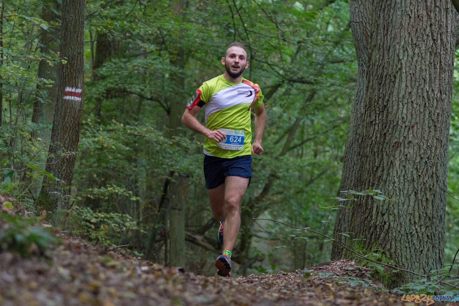 Forest Run Foto: lepszyPOZNAN.pl / Ewelina Jaskowiak Forest Run Foto: lepszyPOZNAN.pl / Ewelina Jaskowiak