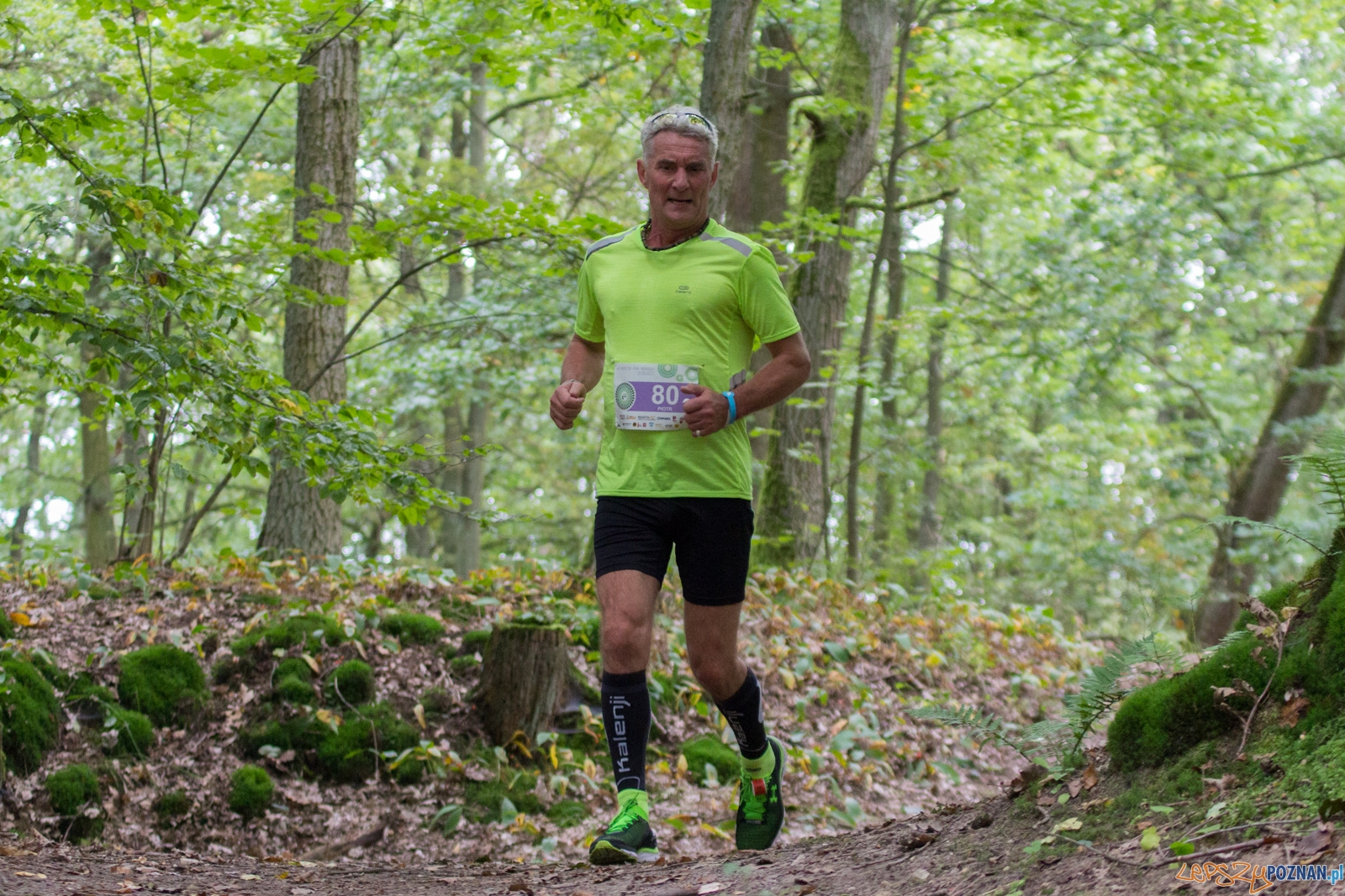 Forest Run Foto: lepszyPOZNAN.pl / Ewelina Jaskowiak Forest Run Foto: lepszyPOZNAN.pl / Ewelina Jaskowiak