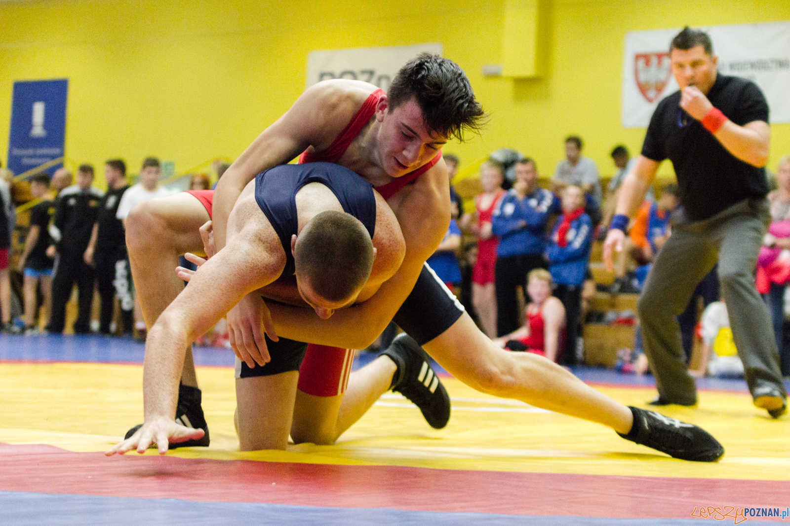 Międzywojewódzkie Mistrzostwa Młodzików Zapasy Styl Klasyczn Foto: lepszyPOZNAN.pl / Ewelina Jaskowiak Międzywojewódzkie Mistrzostwa Młodzików Zapasy Styl Klasyczn Foto: lepszyPOZNAN.pl / Ewelina Jaskowiak