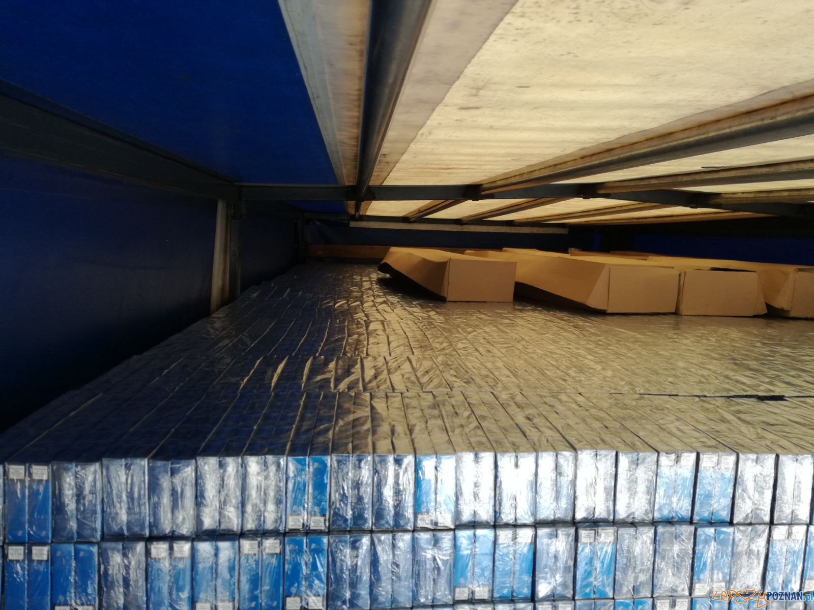 To był rekordowy przemyt ćmików Foto: KWP To był rekordowy przemyt ćmików Foto: KWP