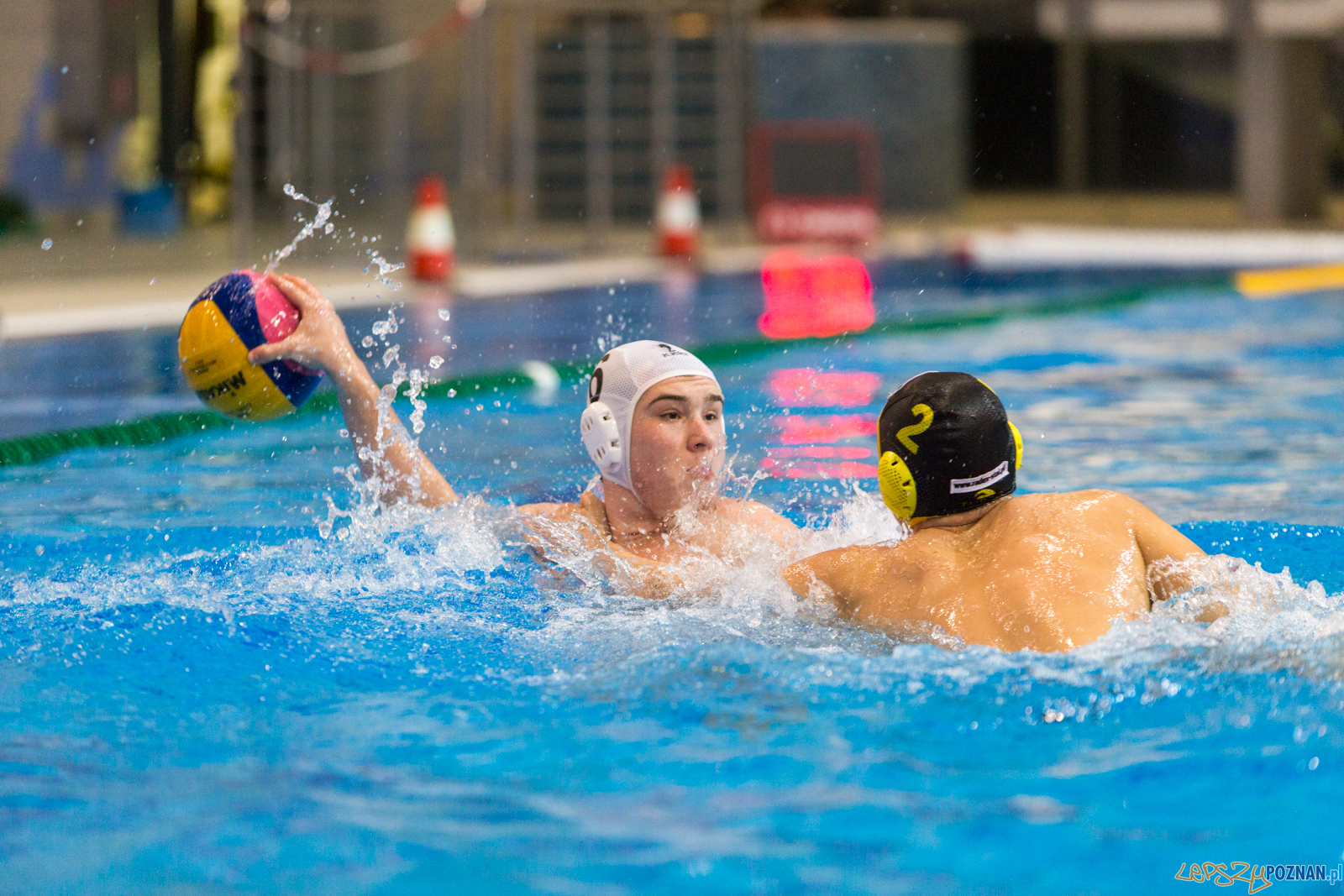 Waterpolo Poznań - Polonia Bytom Foto: lepszyPOZNAN.pl/Piotr Rychter Waterpolo Poznań - Polonia Bytom Foto: lepszyPOZNAN.pl/Piotr Rychter