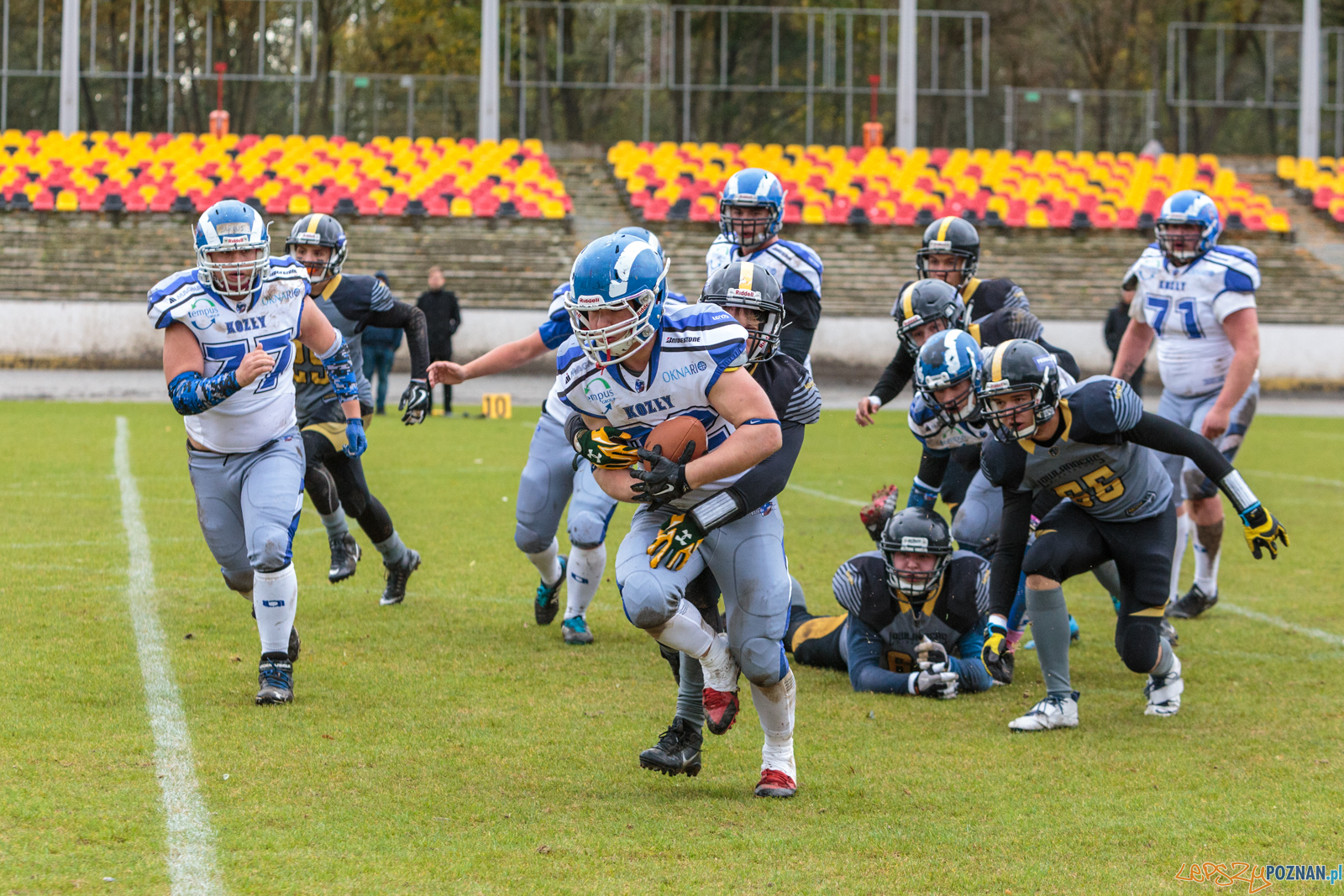 Półfinał MP U19: Kozły Poznań - Lowlanders Bialystok 22:0 - Foto: LepszyPOZNAN.pl / Paweł Rychter Półfinał MP U19: Kozły Poznań - Lowlanders Bialystok 22:0 - Foto: LepszyPOZNAN.pl / Paweł Rychter