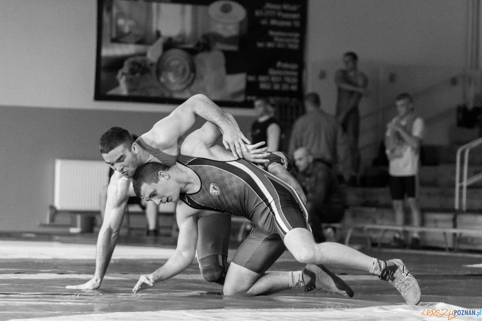 Młodzieżowe Mistrzostwa Polski w Zapasach Foto: lepszyPOZNAN.pl / Ewelina Jaskowiak Młodzieżowe Mistrzostwa Polski w Zapasach Foto: lepszyPOZNAN.pl / Ewelina Jaskowiak