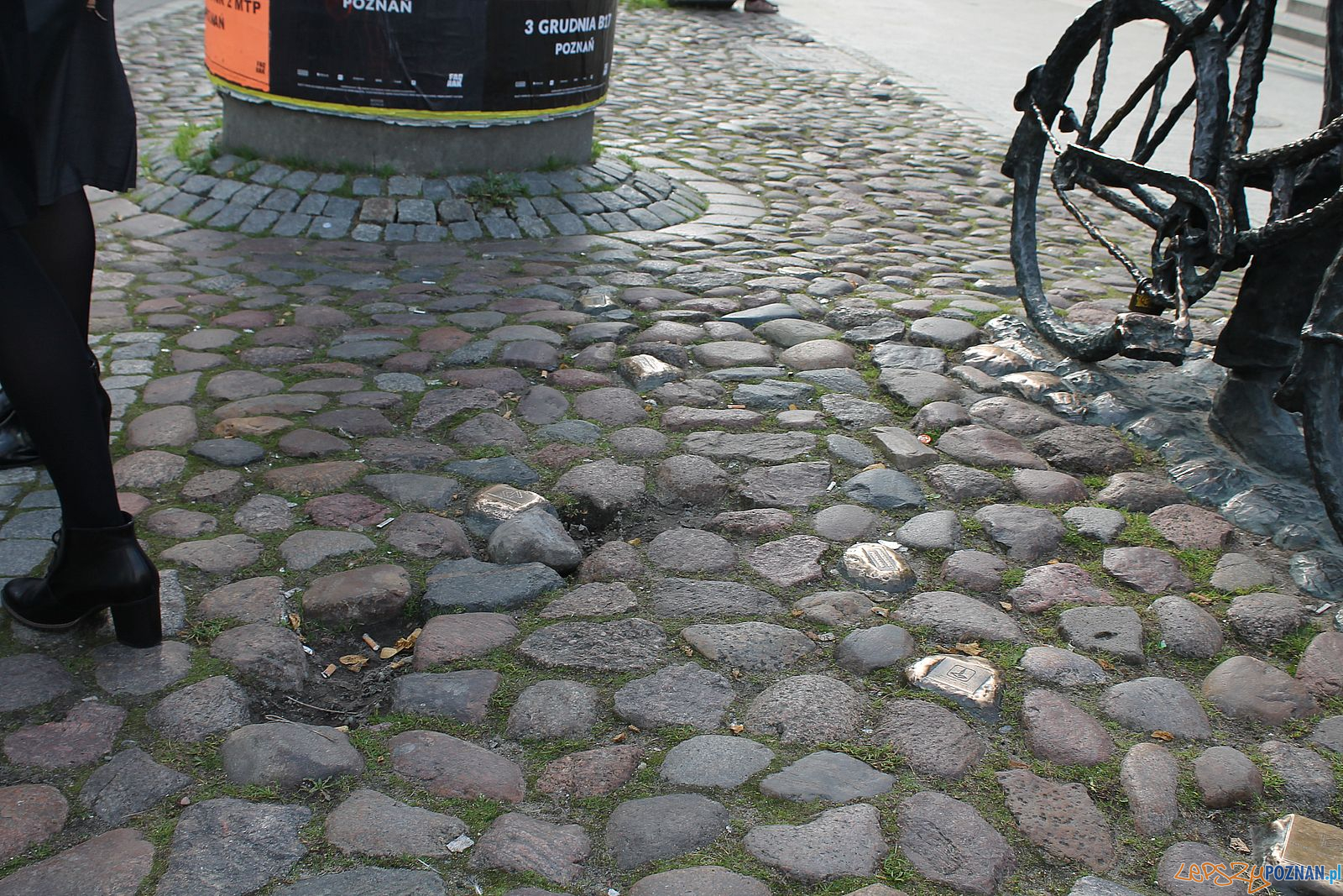 Stary Marych nieporządek wokól pomnika (6) Foto: T. Dworek / ROSM Stary Marych nieporządek wokól pomnika (6) Foto: T. Dworek / ROSM