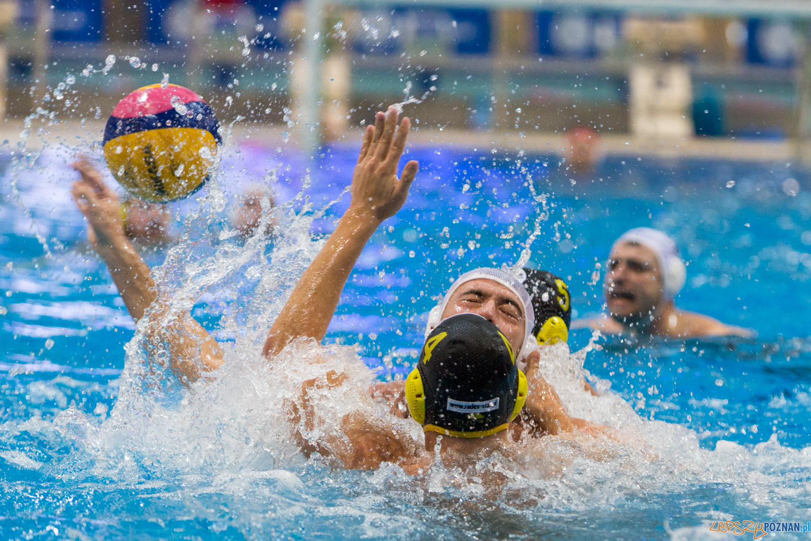 Waterpolo Poznań - Polonia Bytom Foto: lepszyPOZNAN.pl/Piotr Rychter Waterpolo Poznań - Polonia Bytom Foto: lepszyPOZNAN.pl/Piotr Rychter