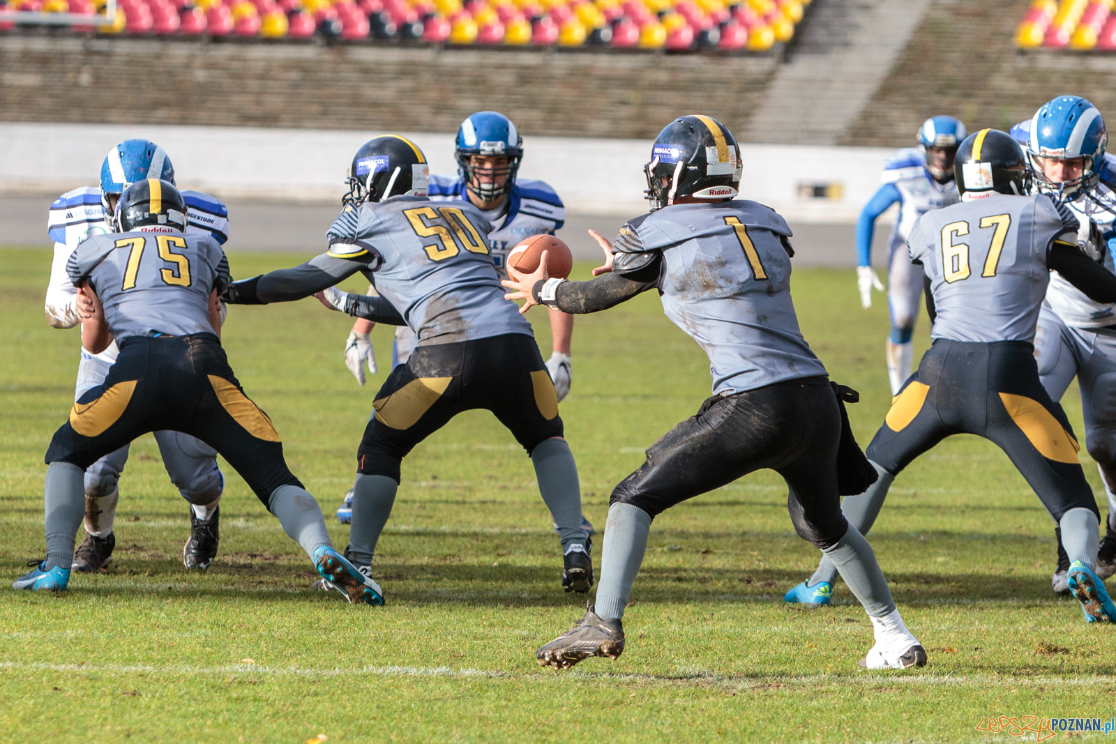 Półfinał MP U19: Kozły Poznań - Lowlanders Bialystok 22:0 - Foto: LepszyPOZNAN.pl / Paweł Rychter Półfinał MP U19: Kozły Poznań - Lowlanders Bialystok 22:0 - Foto: LepszyPOZNAN.pl / Paweł Rychter