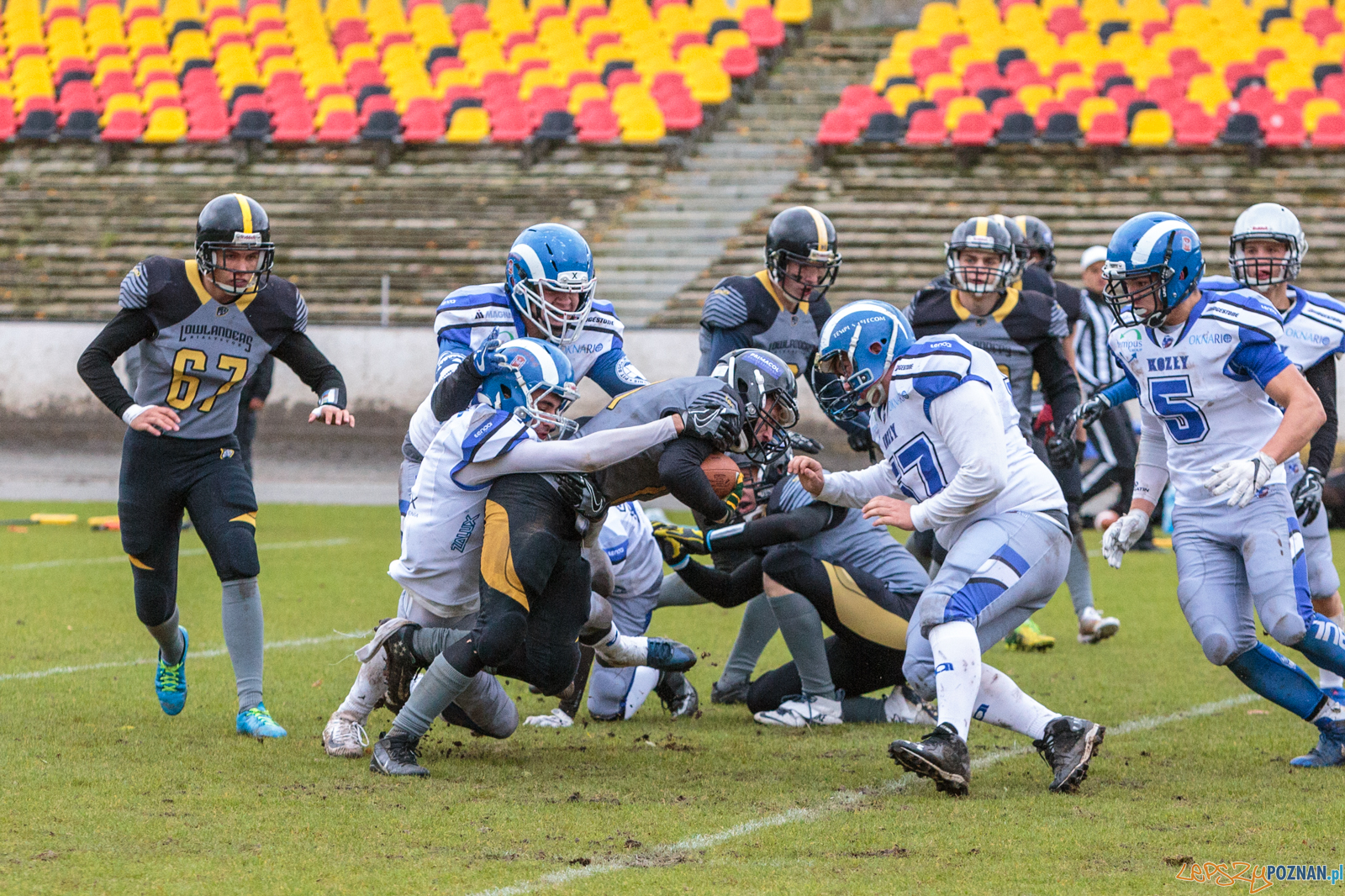 Półfinał MP U19: Kozły Poznań - Lowlanders Bialystok 22:0 - Foto: LepszyPOZNAN.pl / Paweł Rychter Półfinał MP U19: Kozły Poznań - Lowlanders Bialystok 22:0 - Foto: LepszyPOZNAN.pl / Paweł Rychter