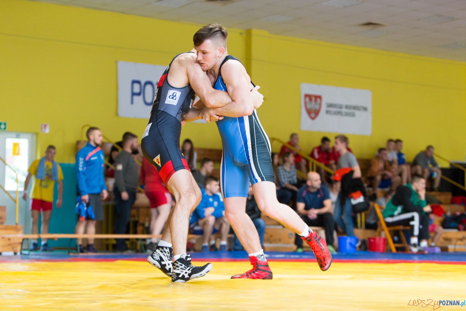 Młodzieżowe Mistrzostwa Polski - Zapasy Styl Klasyczny Foto: lepszyPOZNAN.pl/Piotr Rychter Młodzieżowe Mistrzostwa Polski - Zapasy Styl Klasyczny Foto: lepszyPOZNAN.pl/Piotr Rychter