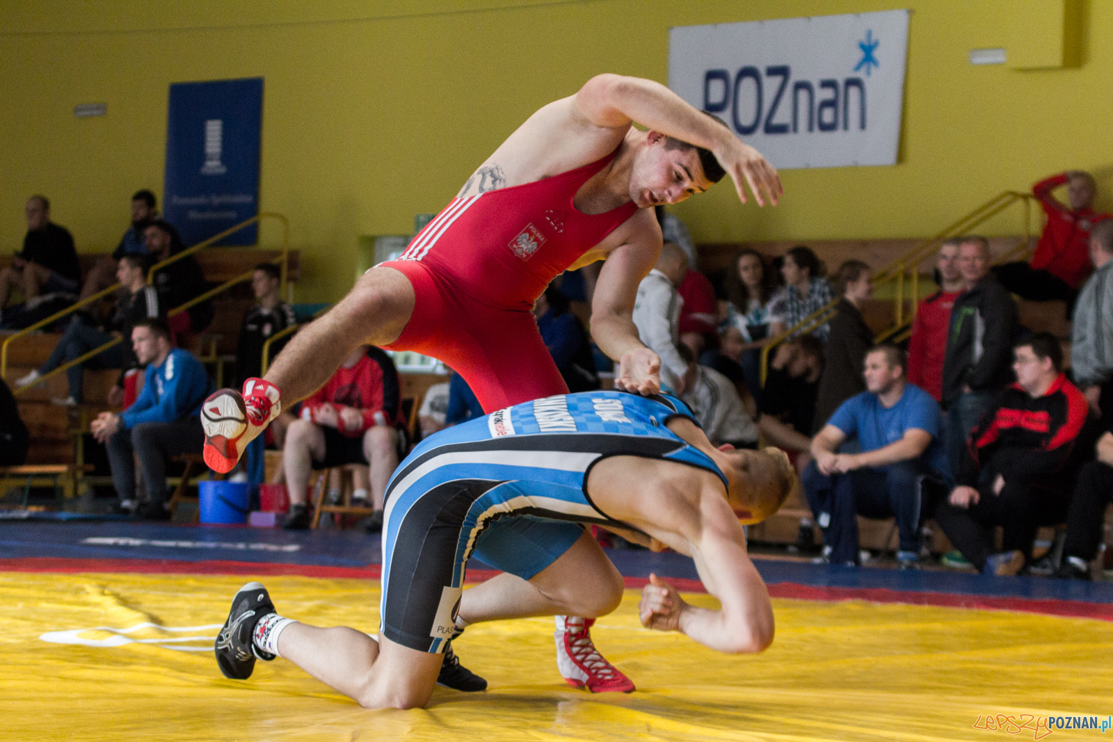 Młodzieżowe Mistrzostwa Polski w Zapasach Foto: lepszyPOZNAN.pl / Ewelina Jaskowiak Młodzieżowe Mistrzostwa Polski w Zapasach Foto: lepszyPOZNAN.pl / Ewelina Jaskowiak