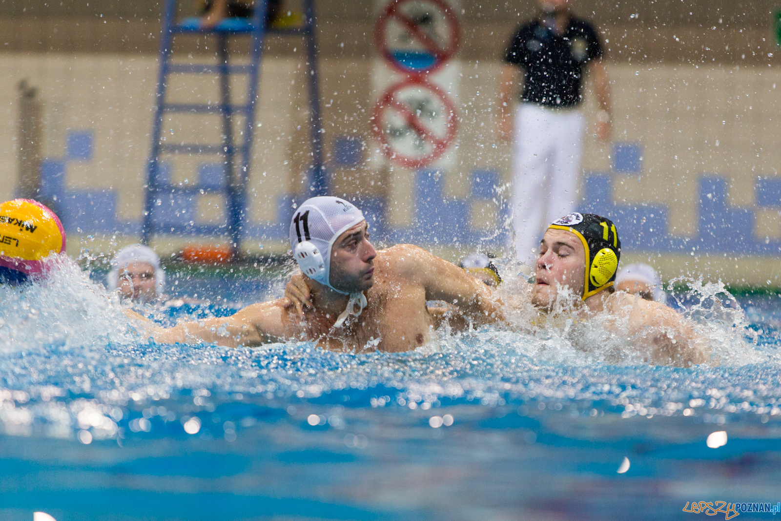 Waterpolo Poznań - Polonia Bytom Foto: lepszyPOZNAN.pl/Piotr Rychter Waterpolo Poznań - Polonia Bytom Foto: lepszyPOZNAN.pl/Piotr Rychter