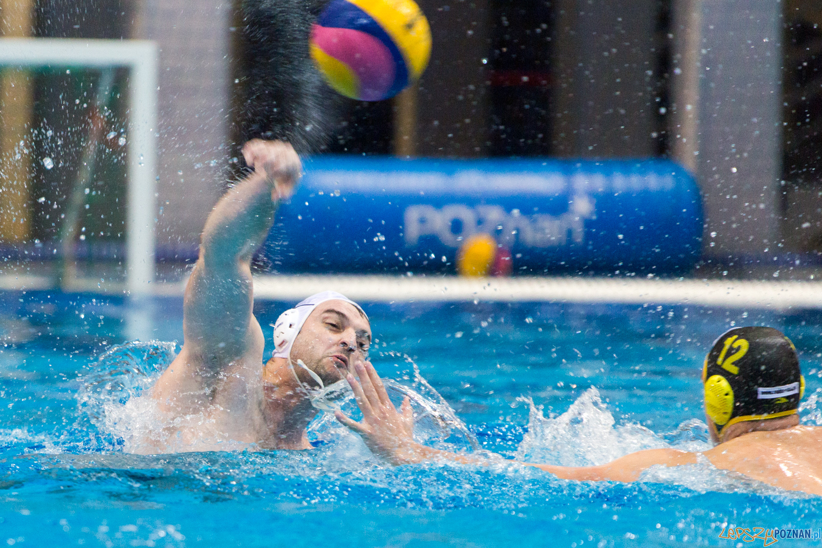 Waterpolo Poznań - Polonia Bytom Foto: lepszyPOZNAN.pl/Piotr Rychter Waterpolo Poznań - Polonia Bytom Foto: lepszyPOZNAN.pl/Piotr Rychter