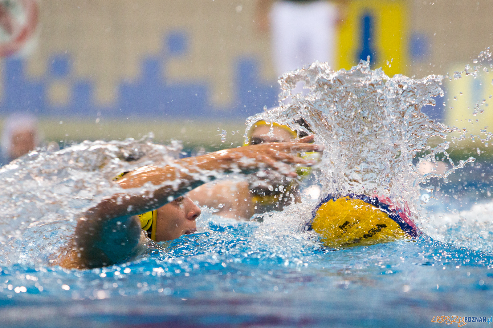 Waterpolo Poznań - Polonia Bytom Foto: lepszyPOZNAN.pl/Piotr Rychter Waterpolo Poznań - Polonia Bytom Foto: lepszyPOZNAN.pl/Piotr Rychter