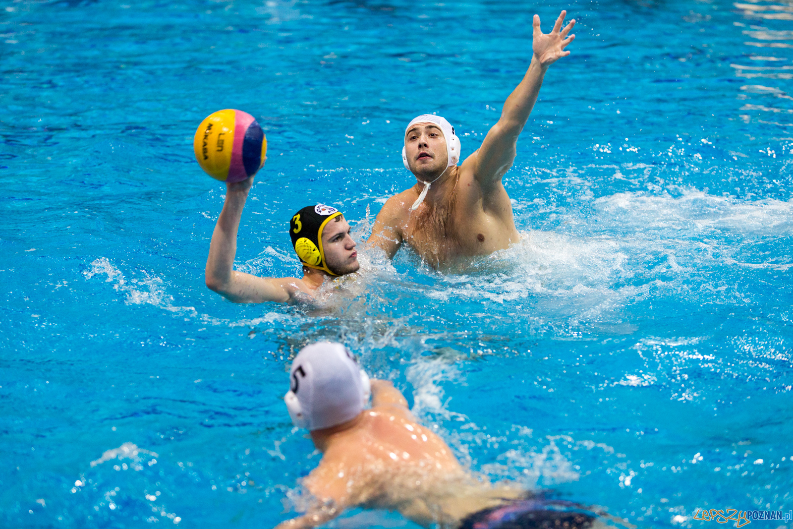 Waterpolo Poznań - Polonia Bytom Foto: lepszyPOZNAN.pl/Piotr Rychter Waterpolo Poznań - Polonia Bytom Foto: lepszyPOZNAN.pl/Piotr Rychter
