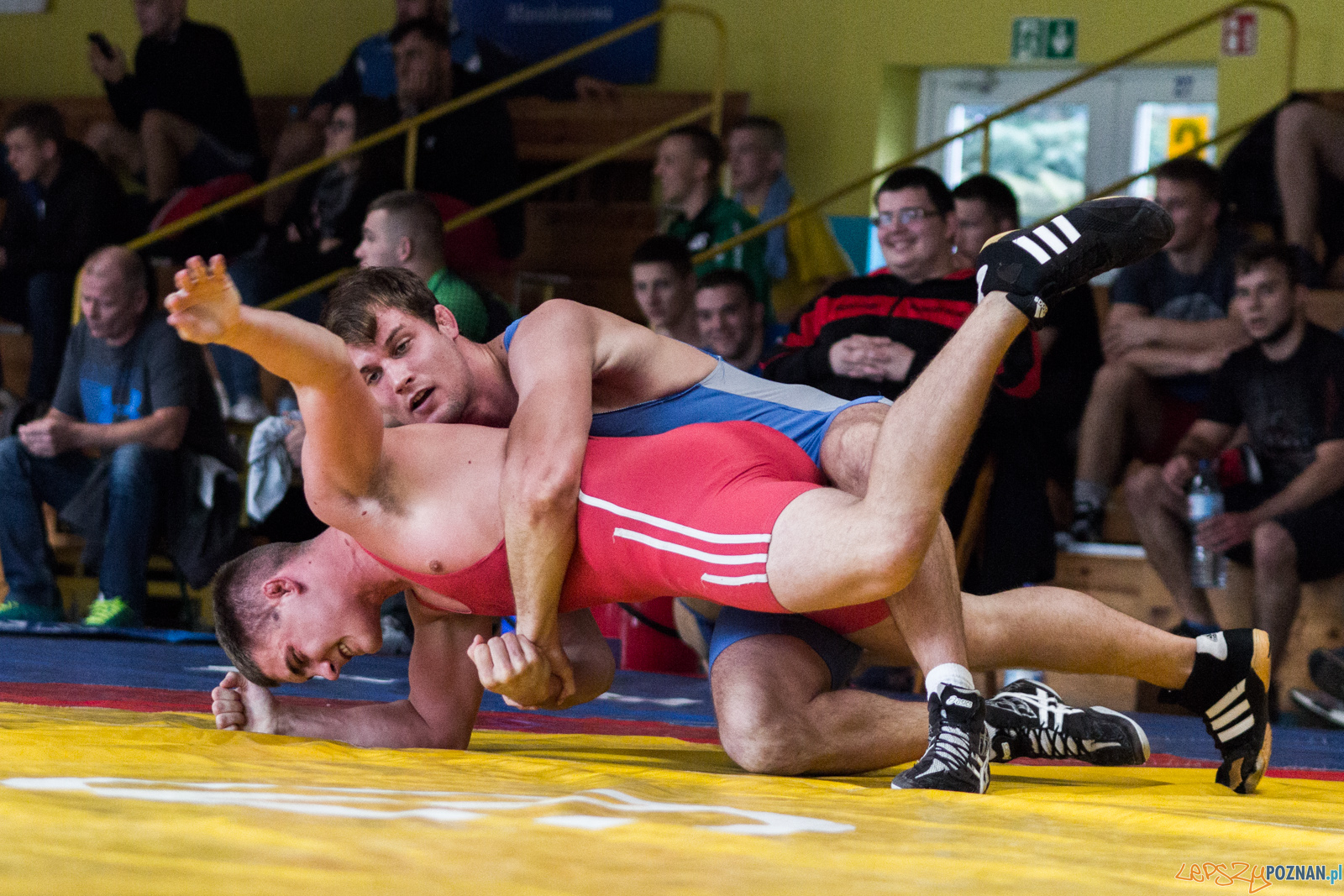 Młodzieżowe Mistrzostwa Polski w Zapasach Foto: lepszyPOZNAN.pl / Ewelina Jaskowiak Młodzieżowe Mistrzostwa Polski w Zapasach Foto: lepszyPOZNAN.pl / Ewelina Jaskowiak
