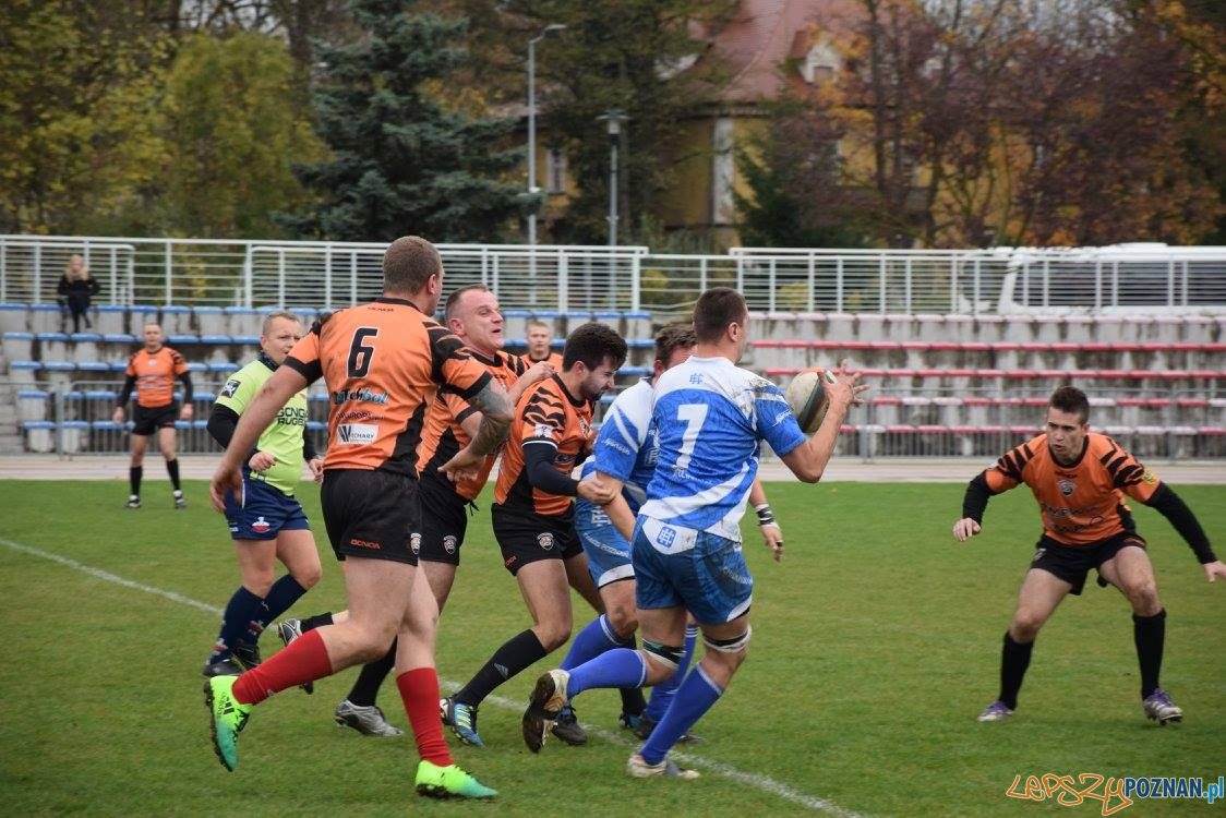 Miedziowi Lubin vs Chaos Poznań Foto: Weronika Biskupska Miedziowi Lubin vs Chaos Poznań Foto: Weronika Biskupska
