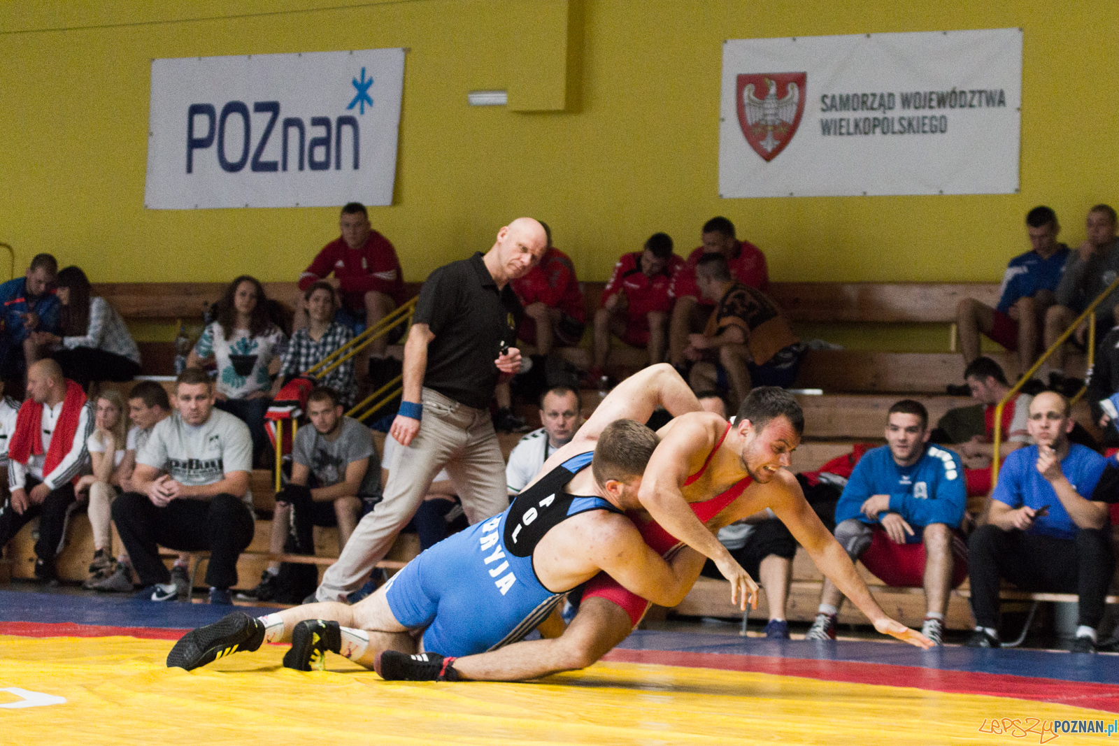 Młodzieżowe Mistrzostwa Polski w Zapasach Foto: lepszyPOZNAN.pl / Ewelina Jaskowiak Młodzieżowe Mistrzostwa Polski w Zapasach Foto: lepszyPOZNAN.pl / Ewelina Jaskowiak