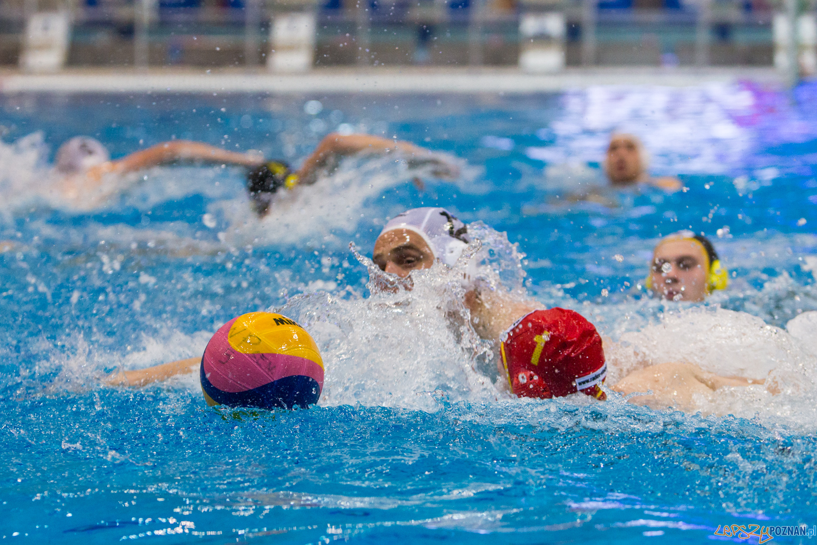 Waterpolo Poznań - Polonia Bytom Foto: lepszyPOZNAN.pl/Piotr Rychter Waterpolo Poznań - Polonia Bytom Foto: lepszyPOZNAN.pl/Piotr Rychter