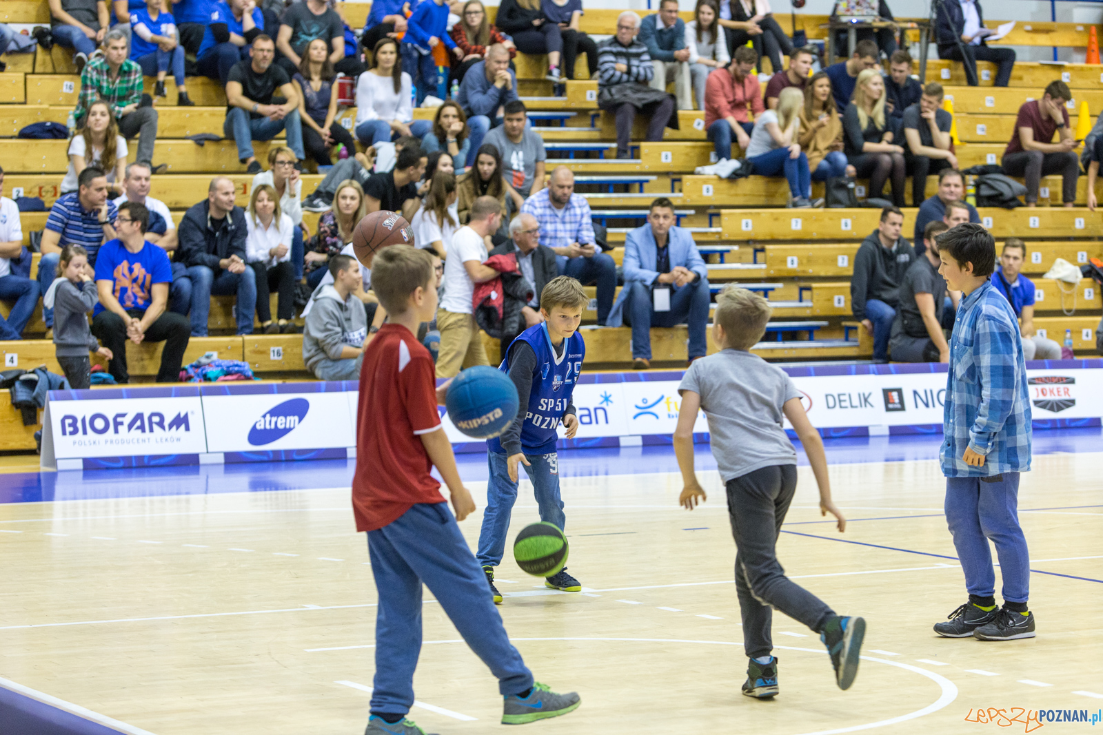 Biofarm basket Poznań - ZB Puszków Foto: lepszyPOZNAN.pl/Piotr Rychter Biofarm basket Poznań - ZB Puszków Foto: lepszyPOZNAN.pl/Piotr Rychter